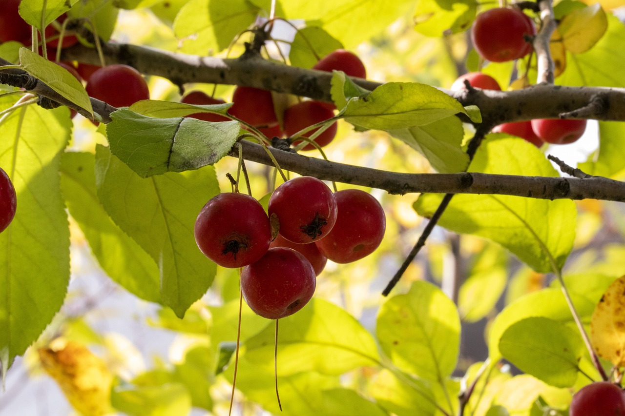 招远最新新闻动态报道速递