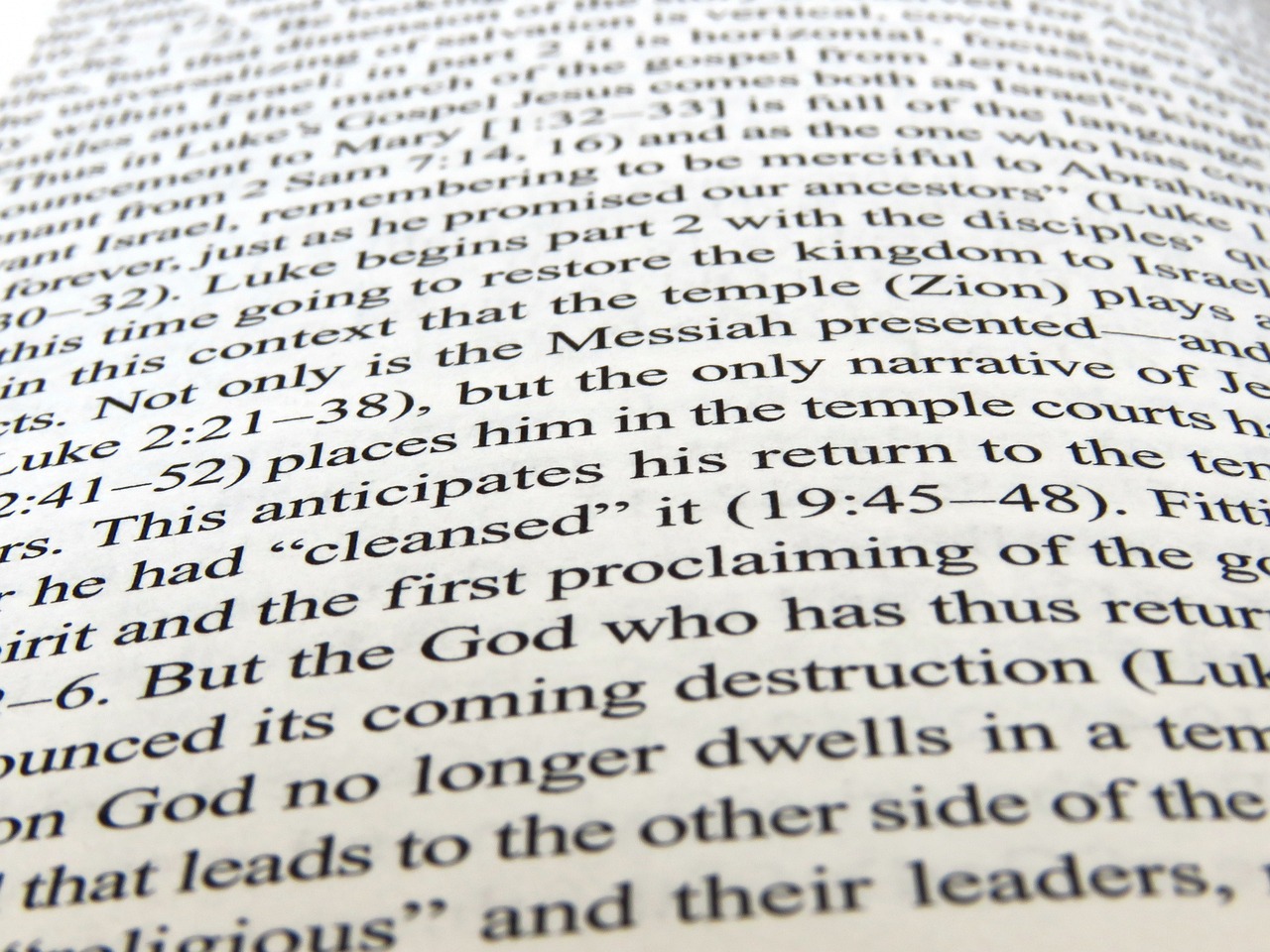 恋老门户最新动态及资讯列表，深度探讨与探索