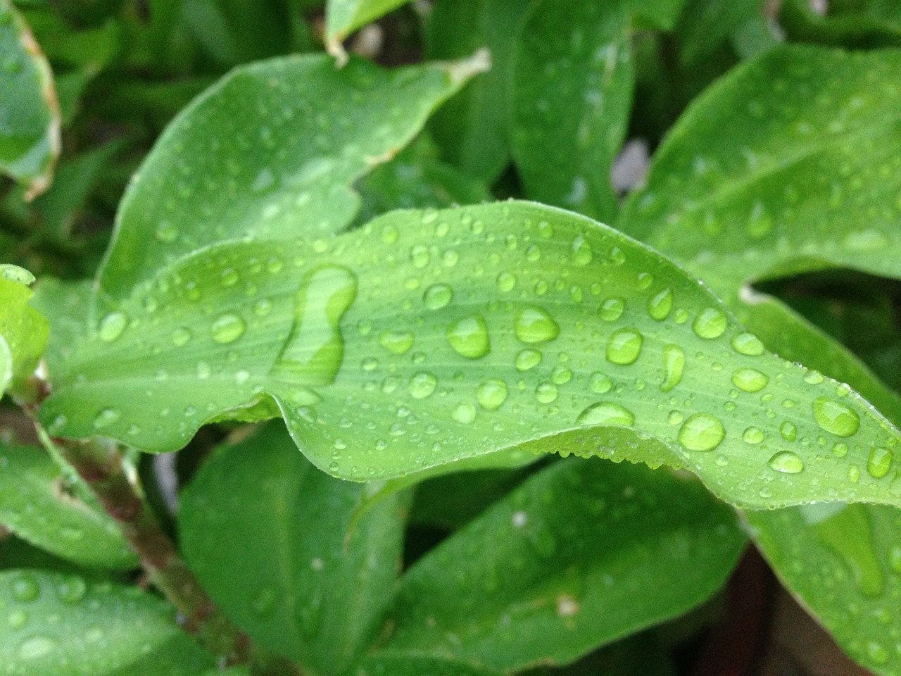 泰国娱乐最新头条新闻,璀璨明星、热门影视及音乐动态全掌握