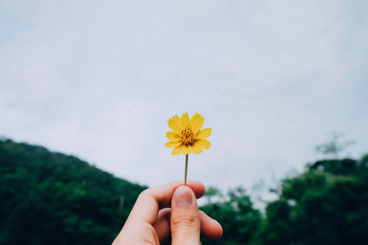 言罂宁 第39页
