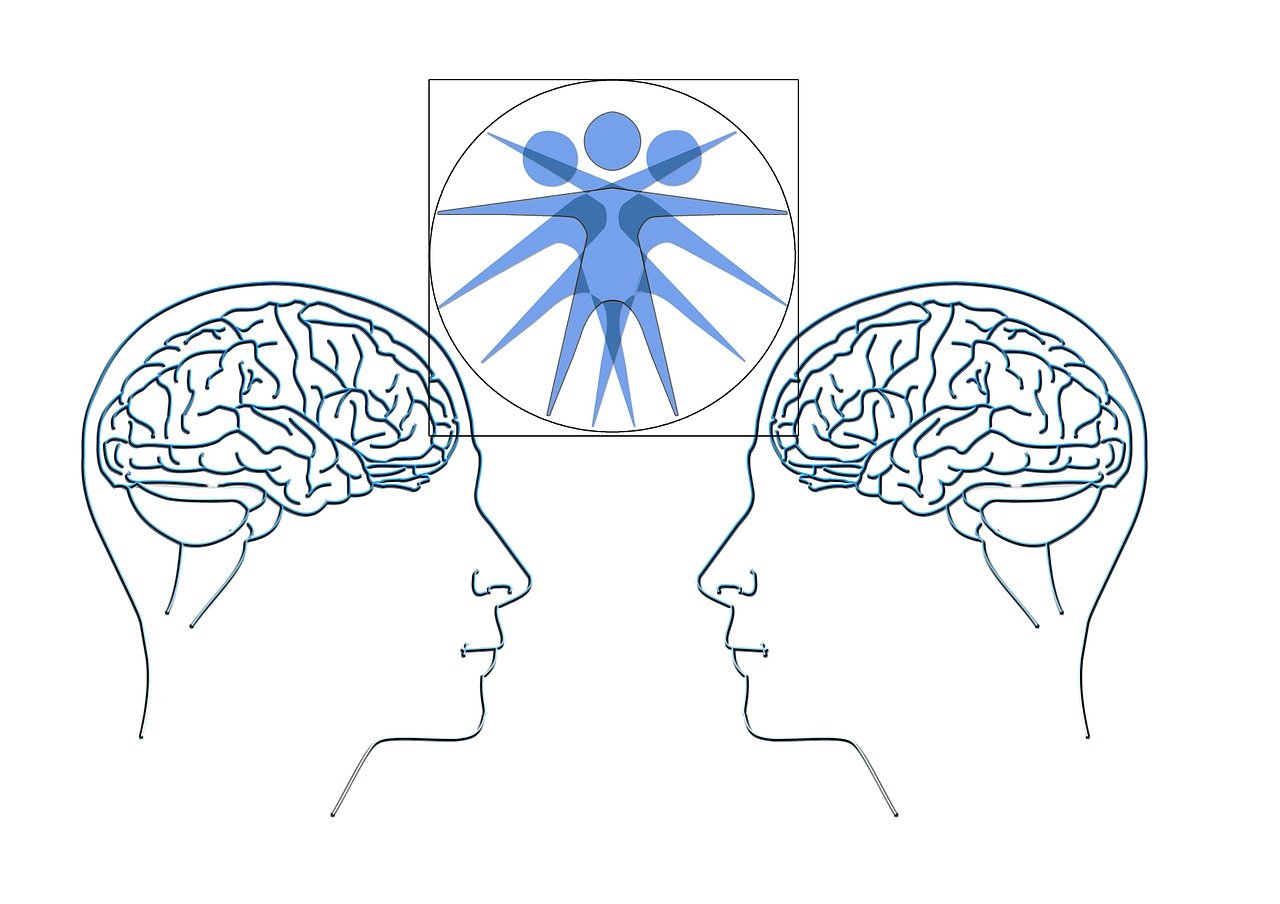 天朗蓝湖树最新房价及动态分析概述