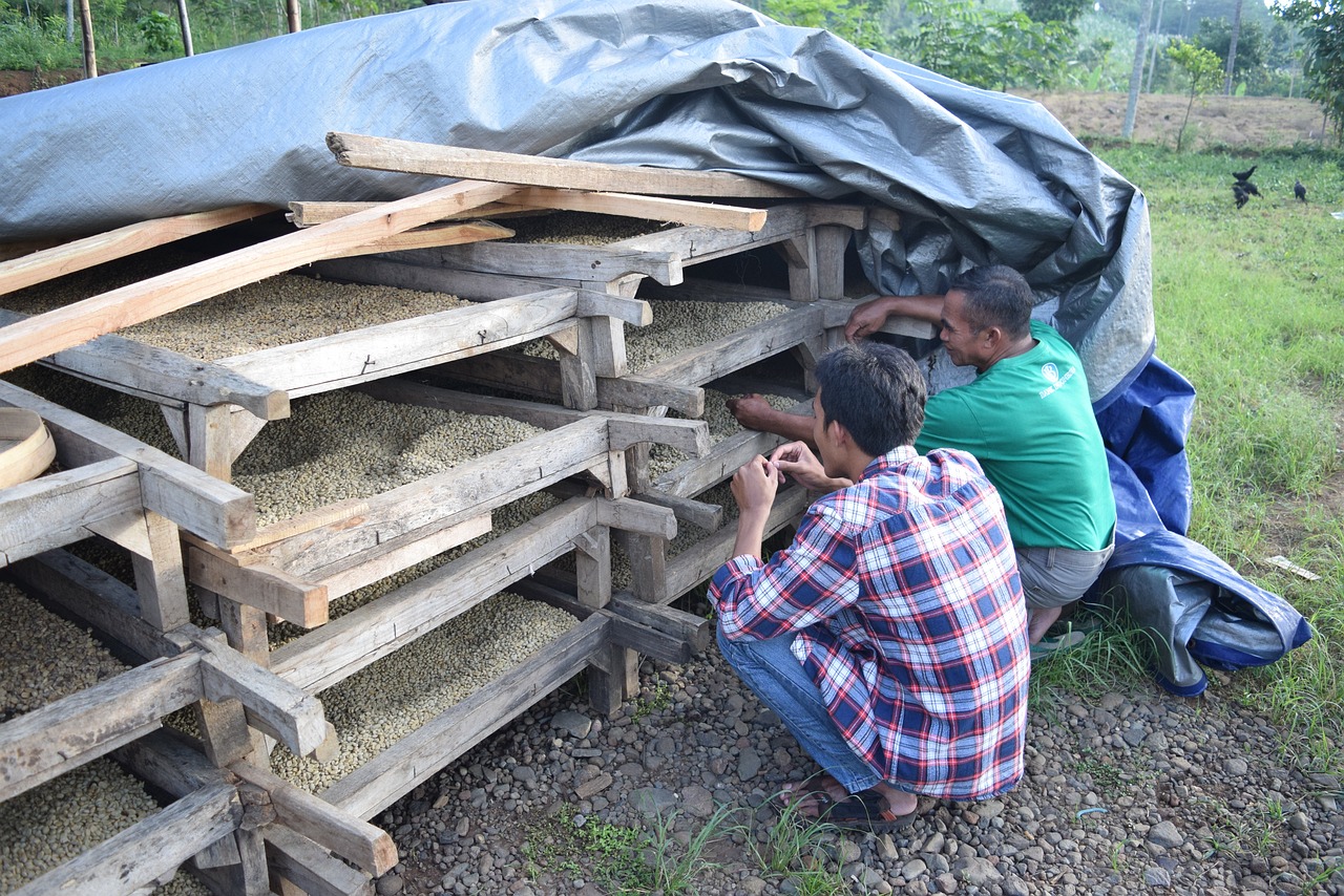 阳逻房价最新动态,市场走势、购房指南一网打尽!