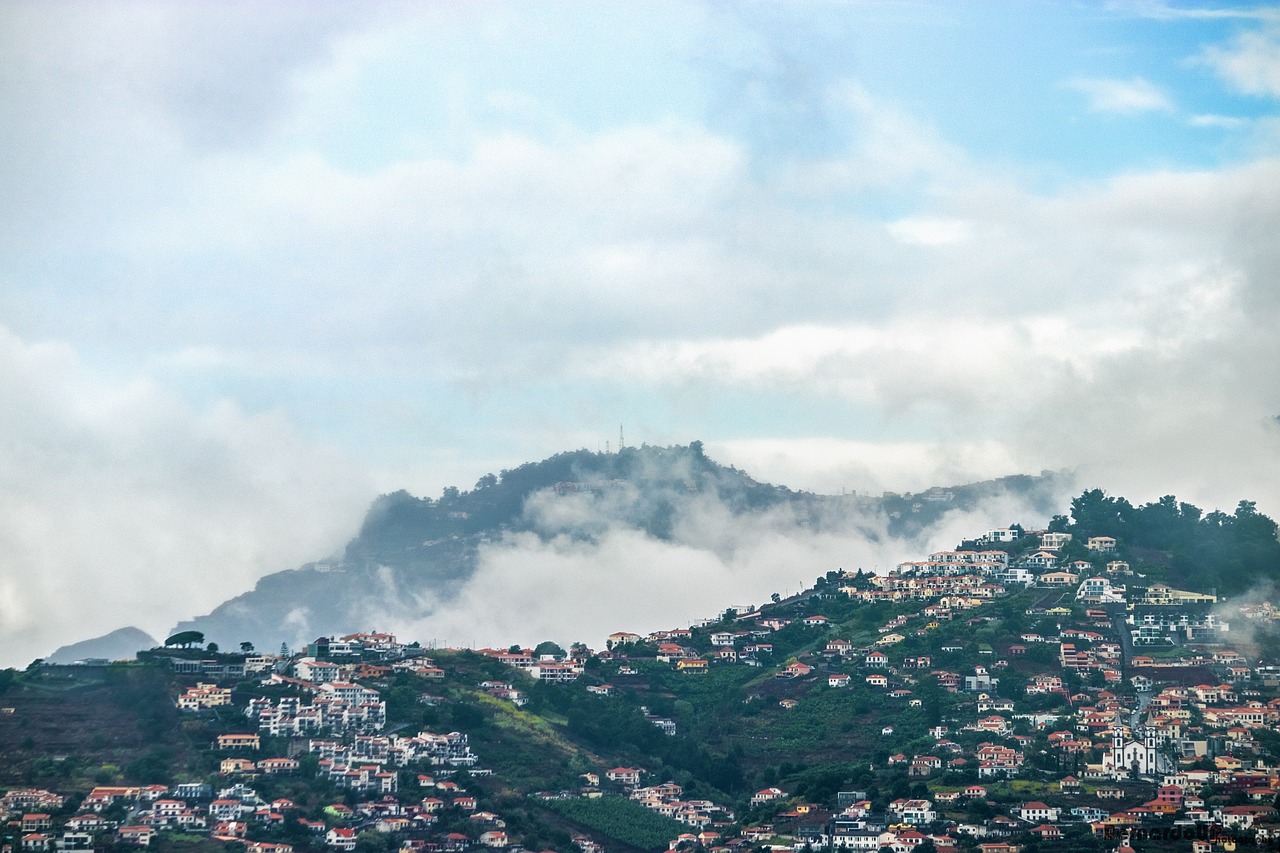 济南北跨最新动态，城市跨越发展的崭新篇章开启