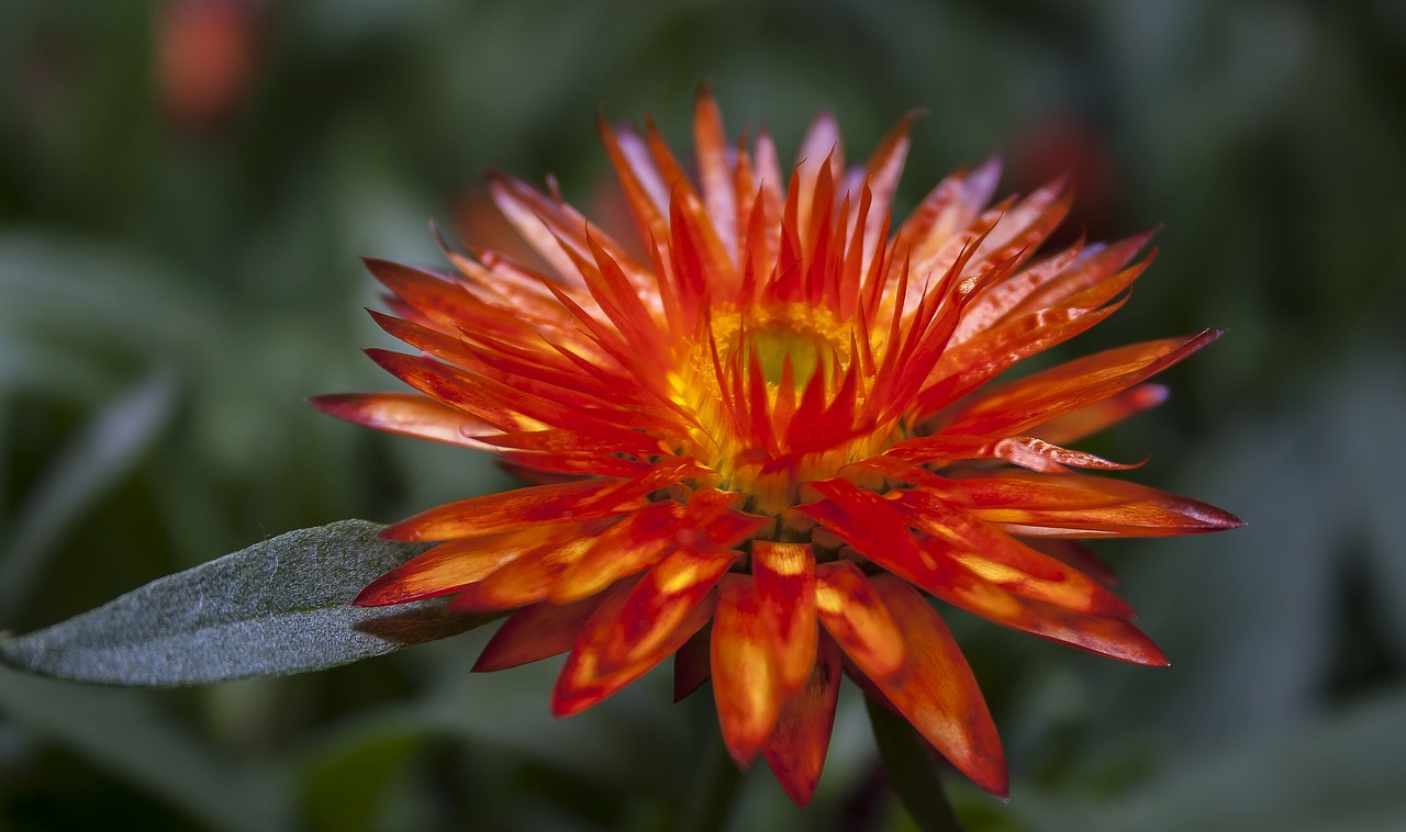 森工厂办大集体最新发展动态概述