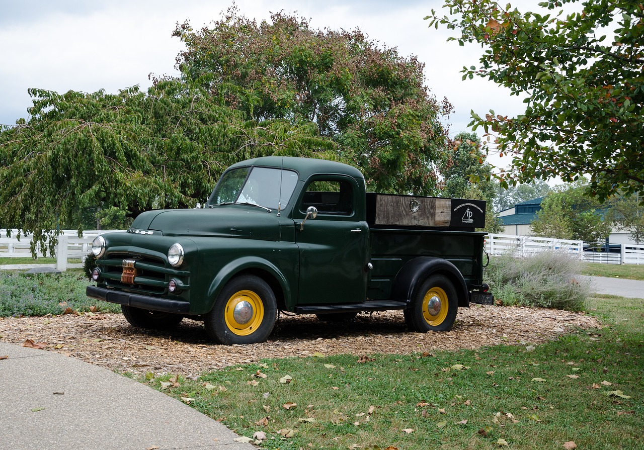 最新款皮卡报价及图片大全