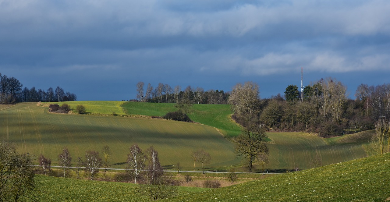 南昌土地拍卖最新动态,市场走势、未来展望及最新成交情况分析。